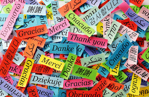Language Collage Online Eğitim